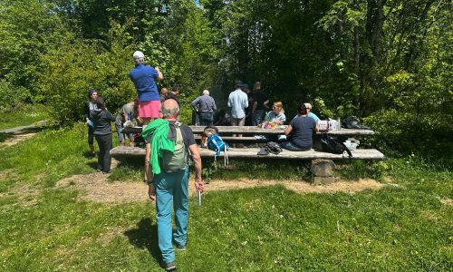 PHOTO-2025-05-17-14-33-20 (1)